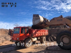 墨西哥15噸礦用四不像車(chē)使用案例